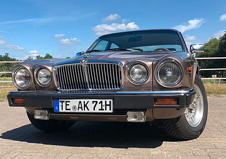 Jaguar XJ12 gebraucht kaufen Jaguar XJ12