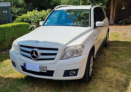 Mercedes-Benz GLK 220 CDI 4MATIC BlueEFFICIENCY -