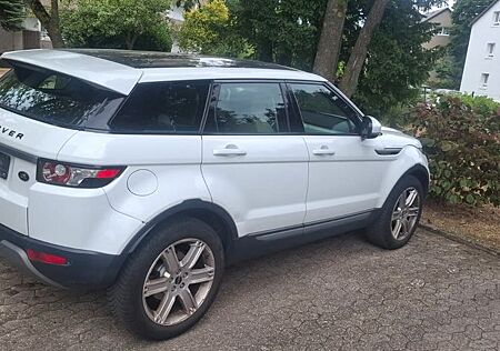 Rover Andere