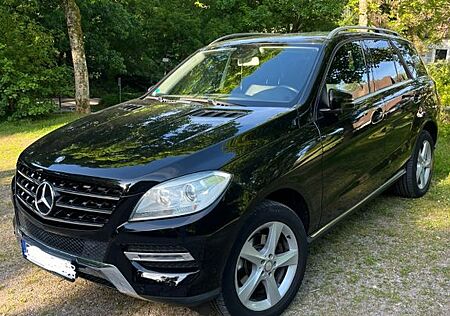 Mercedes-Benz ML 250 BlueTEC 4MATIC, AHK
