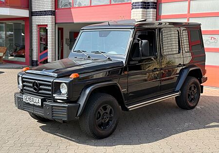 Mercedes-Benz G 350 G 350D PROFESSIONAL SCHIEBEDACH STAHLSTOß