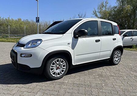 Fiat Panda Hybrid 1.0 5-Sitze Garantie 4.2028