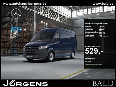 Mercedes-Benz SPRINTER 315 Kasten/L2H2/AHK3,5/Standh/Klima/Cam
