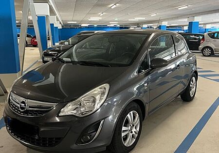 Opel Corsa D 69 PS mit Flex-Fix Fahrradträger