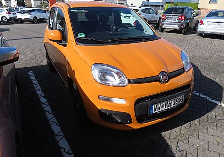 Fiat Panda More