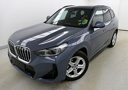 BMW X1 18 i sDrive M Sport Pano HUD AHK ACC 360°Kam