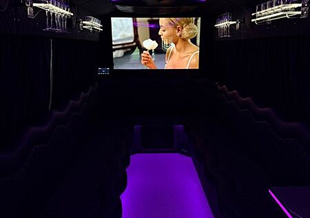 Mercedes-Benz Sprinter PARTY BUS