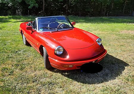 Alfa Romeo Spider 115 | Oldtimer | H-Kennzeichen