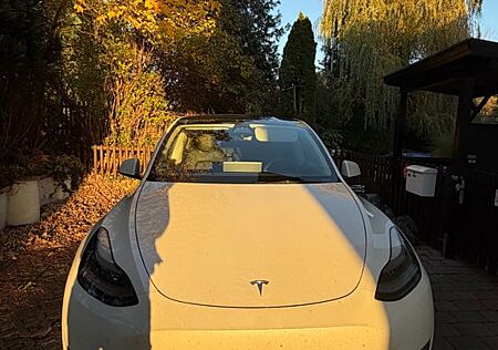 Tesla Model Y LR AWD | EAP | Beschleunigungsboos