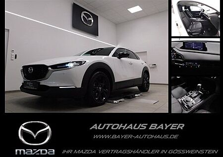 Mazda CX-30 gebraucht kaufen Mazda CX-30 2.5L e-SKY G 140ps 6AT Homura /Navi/Kamera