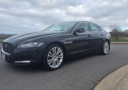Jaguar XF E-Performance 163PS Pure Automatik Pure