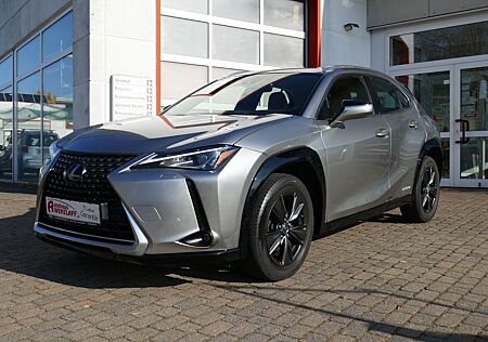 Lexus UX 250h Launch LED 3 Jahre Garantie