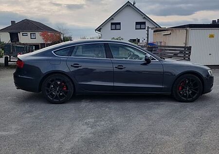 Audi A5 gebraucht kaufen Audi A5 3.0 TDI (DPF) S tronic quattro Sportback -