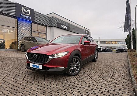 Mazda CX-30 179 PS Selection Leder Design-Paket