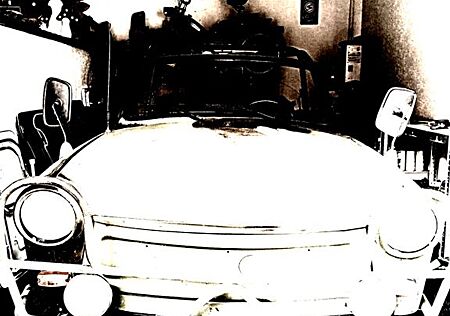 Trabant Andere
