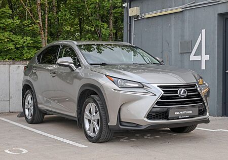 Lexus NX 300 300h AWD