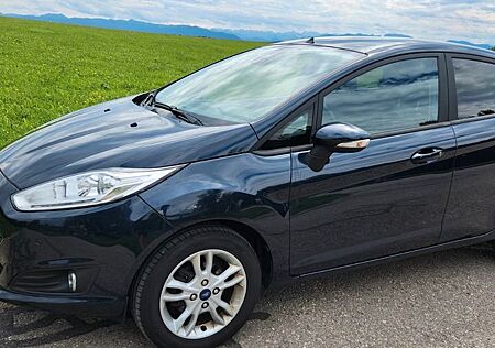 Ford Fiesta 1,0 EcoBoost SYNC Edition Winterpaket