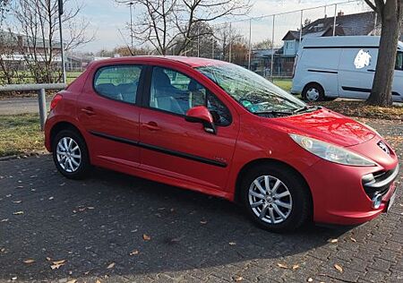 Peugeot 207 SW Filou 73 Filou