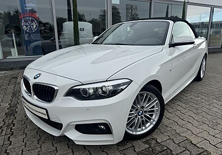BMW 230i Cabrio M Sportpaket HK HiFi DAB WLAN RFK