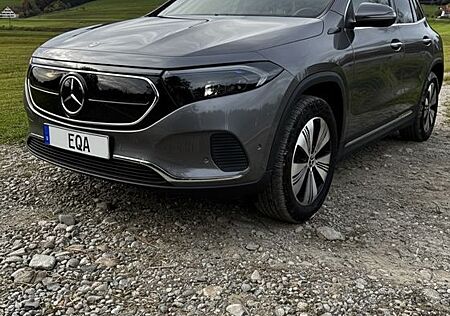 Mercedes-Benz EQA gebraucht kaufen Mercedes-Benz EQA 250 DISTR MEMO AHK WINTER 8FACH JUNGE STERN