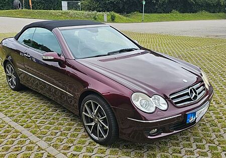 Mercedes-Benz 200 gebraucht kaufen Mercedes-Benz 200 CLK Kompressor Cabrio LPG Benzin