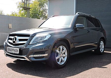 Mercedes-Benz GLK 220 CDI BE 7G-Tronic Pano AHK Navi