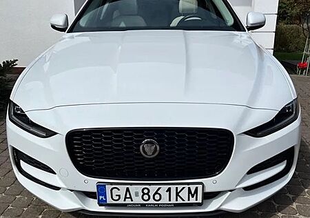 Jaguar XE P250 R-DYNAMIC SE R-DYNAMIC SE