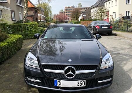 Mercedes-Benz SLK 250 BlueEFFICIENCY Autom. -