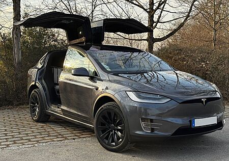 Tesla Model X Long Range Raven mit EAP / neue Batterie