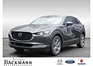 Mazda CX-30 e-SKYACTIV G 122 Exclusive-Line Leder & De