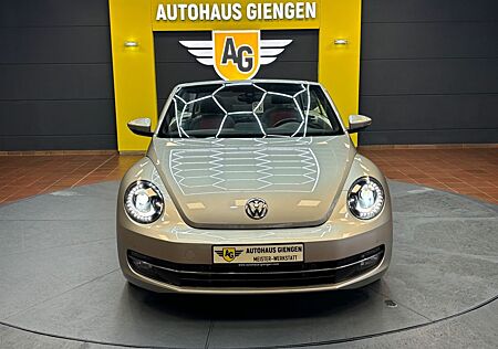 VW Beetle Volkswagen Cabriolet Design/PDC/Scheckheft/Tempomat