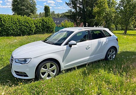 Audi A3 2.0 TDI S tronic sport Sportback sport