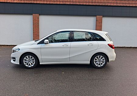 Mercedes-Benz B 180 BlueEFFICIENCY Edition Style Edition Style
