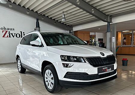 Skoda Karoq Ambition NAVI/TEMPO/SHZ/PDC/MFL/APPLE-CAR