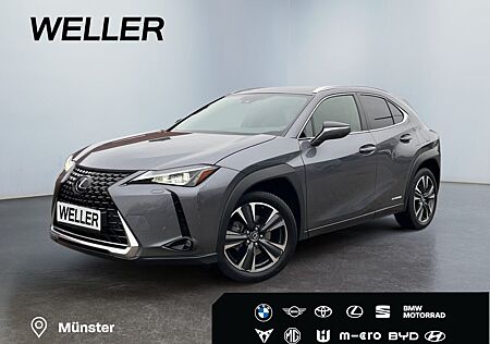 Lexus UX gebraucht kaufen Lexus UX 250h Style Edition *Bi-LED*ACC*CAM*SHZ*CarPla