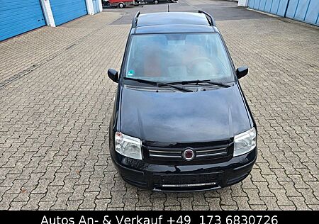 Fiat Panda gebraucht kaufen Fiat Panda 1.2 8V Dynamic.Panoramadach
