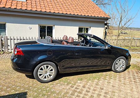 VW Eos Volkswagen 1.4 TSI 90kW Edition 2009 Edition 2009