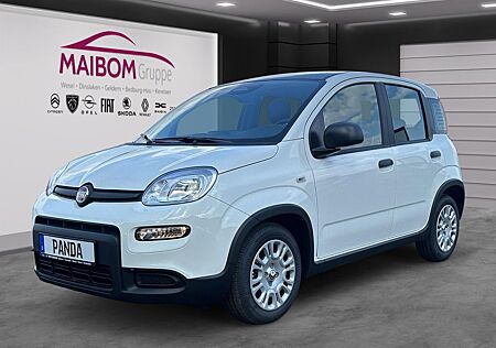 Fiat Panda Pandina 1.0 GSE