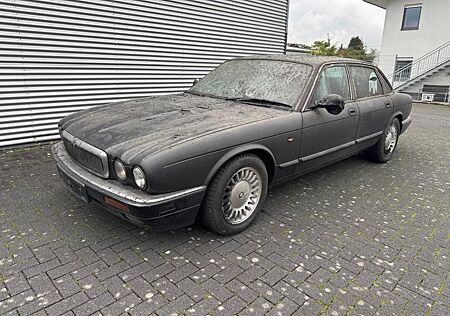 Jaguar X-Type gebraucht kaufen Jaguar X-Type