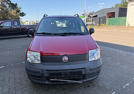 Fiat Panda 1.1 8V Active 1.Hand Tuv bis 10.2026
