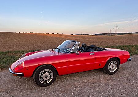 Alfa Romeo Spider