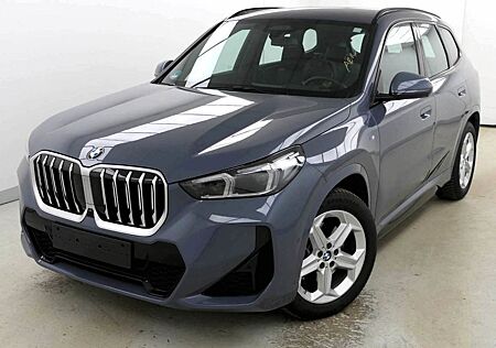 BMW X1 sDrive 20i M Sport HUD ACC DrivingPro 360°Kam