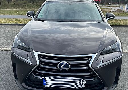 Lexus NX 300 NX 300h Panoramadach*Leder*Navi*FWD Executive