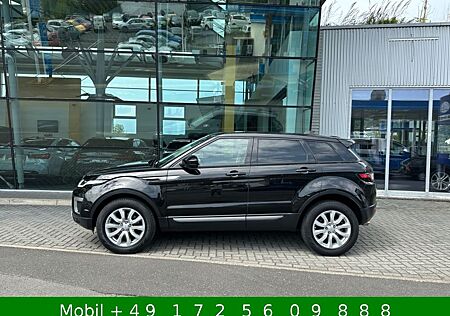 Land Rover Range Rover Evoque SE 4x4 AHK Leder MFL Bi-Xenon