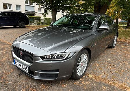 Jaguar XE Pure Navi Xenon SHZ