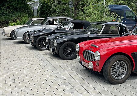 Austin Healey Andere BN 4 3000 fram off, aus Nachlass !!!!!
