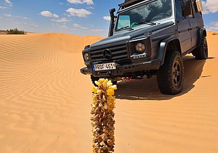 Mercedes-Benz G 290 Verkaufen komplett renoviert, klimatisi
