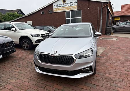 Skoda Fabia Selection LED+Apple+GRA+Winter