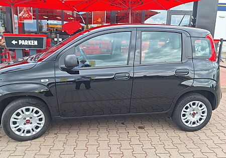 Fiat Panda Easy, Benziner, ehrliches Rentnerfahrzeug