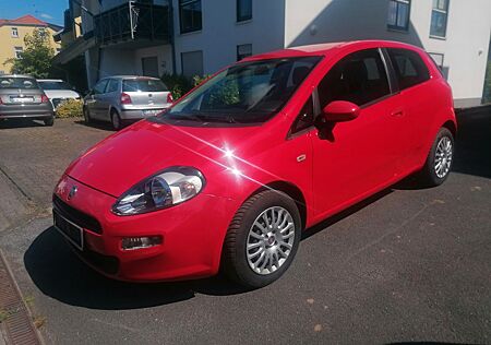 Fiat Punto 1.2 8V B.J. 2014 top Zustand
